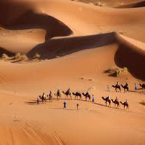 Erg Chebbi, vicino al villaggio di Merzouga  un grande zone di dune, dove si pu? spingere a piedi o in cammello